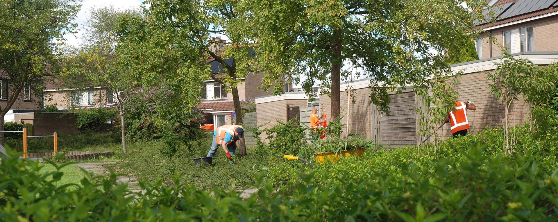 Werkzaamheden